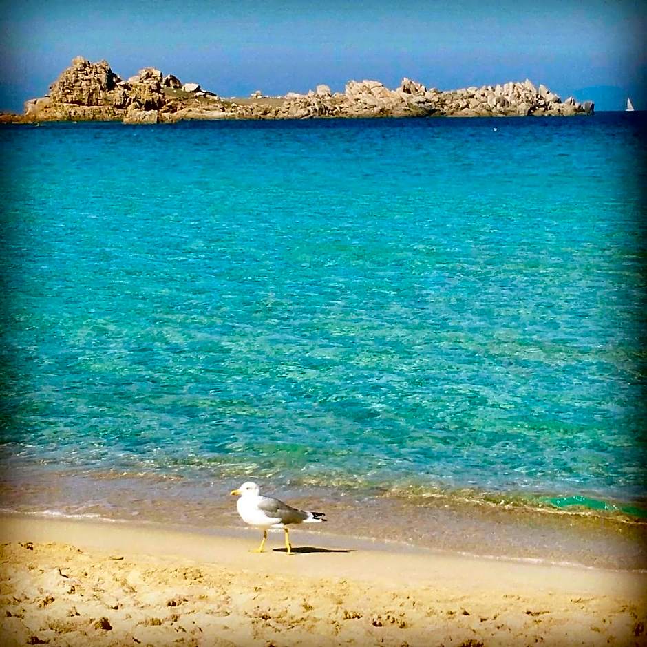 B&B Domus de Janas Santa Teresa Gallura