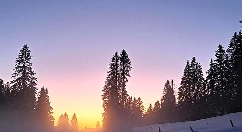 Au Coeur du Lapidaire