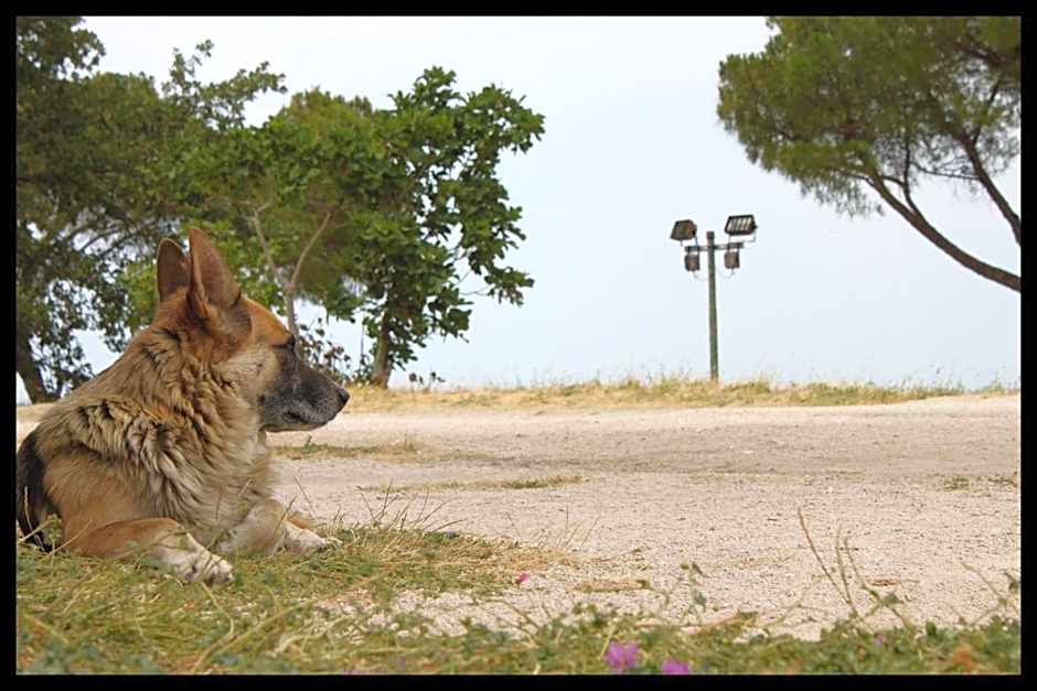Hotel La Vetta Europa