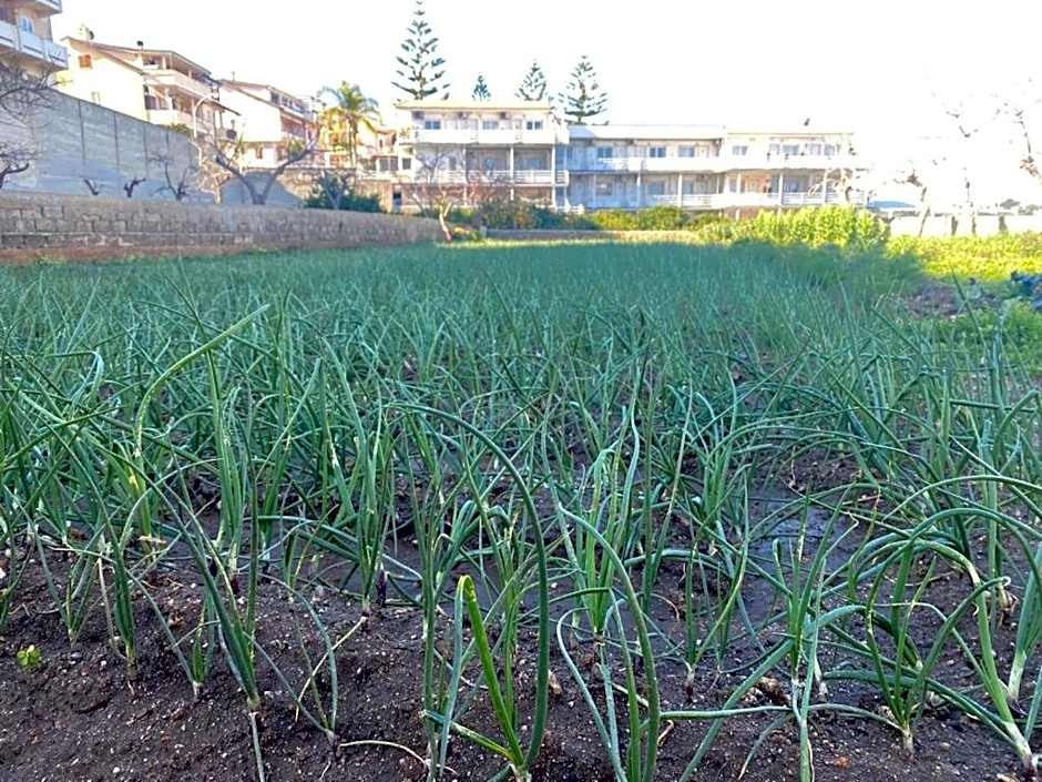 La Locanda del Convento