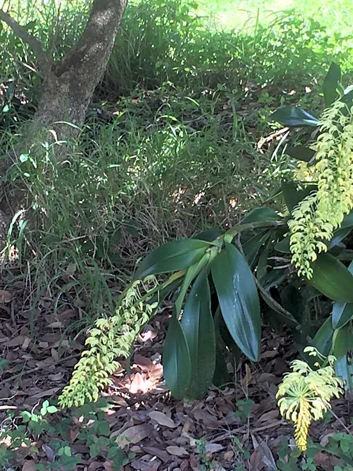 Rossmount Rural Retreat