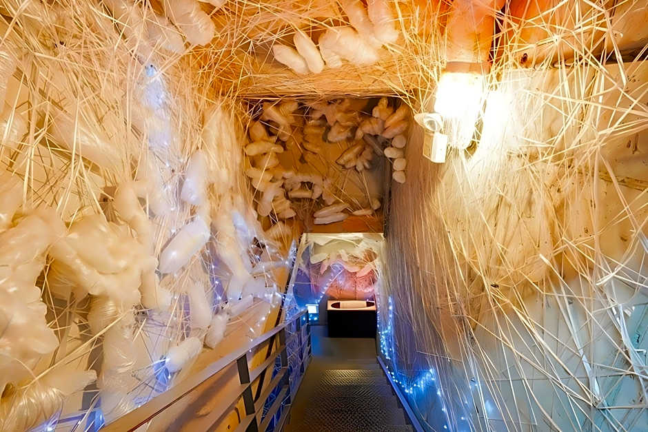 Haslla Art World Museum Hotel
