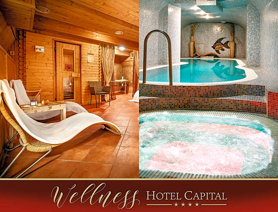 Hotel Capital with private wellness