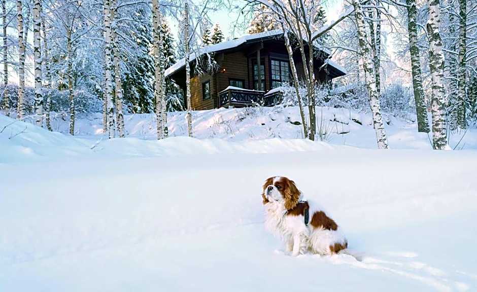 Holiday Village Tahko-Tours