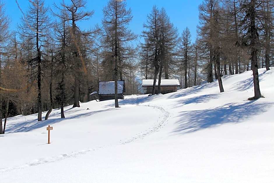 Alpengasthaus Gleinserhof