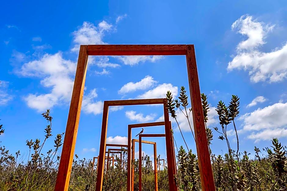 Banyan Tree Veya, Valle de Guadalupe