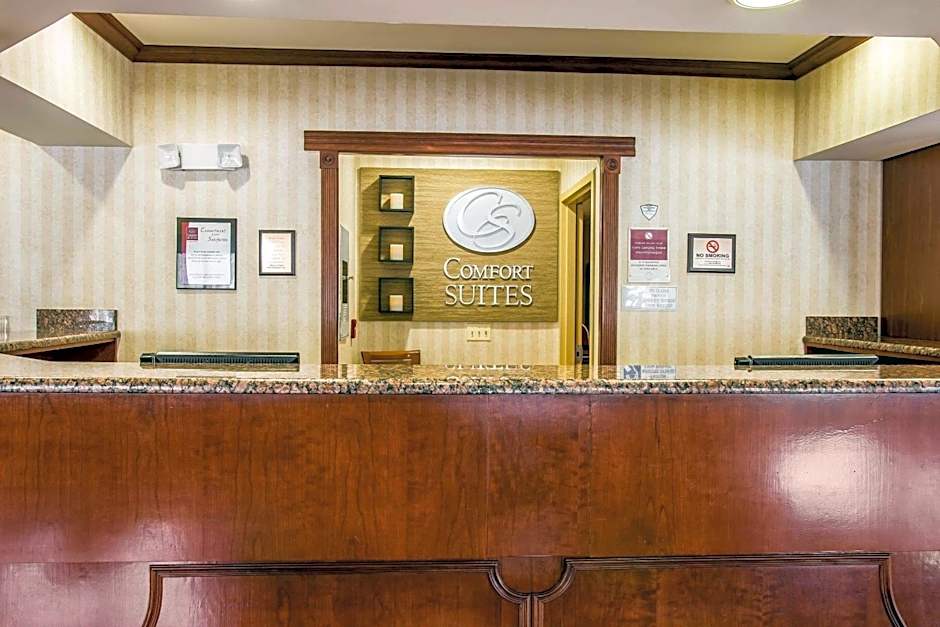 Comfort Suites Canton - Detroit