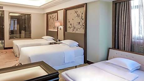Deluxe Family Twin Room