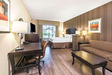 1 King Bed Studio Suite With Sofa Bed Non-Smoking