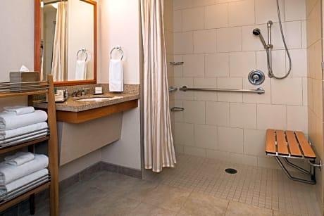 1 King Garden View Mobility Hearing Accessible Roll in Shower