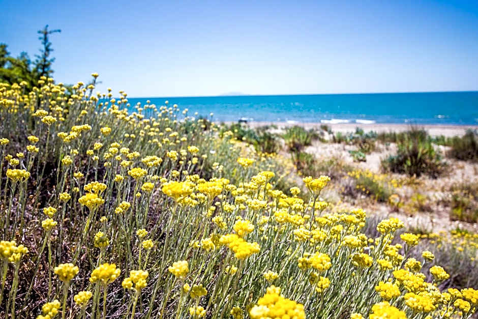 Residence La Canova II