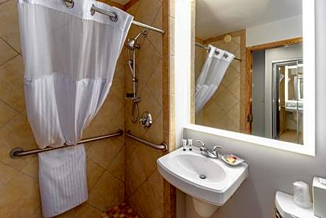 Queen Room - Disability Access/Roll-in Shower