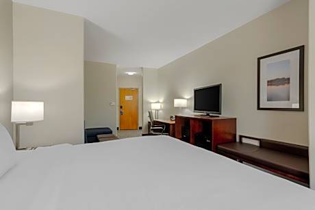 1 King Bed, Suite, Nonsmoking