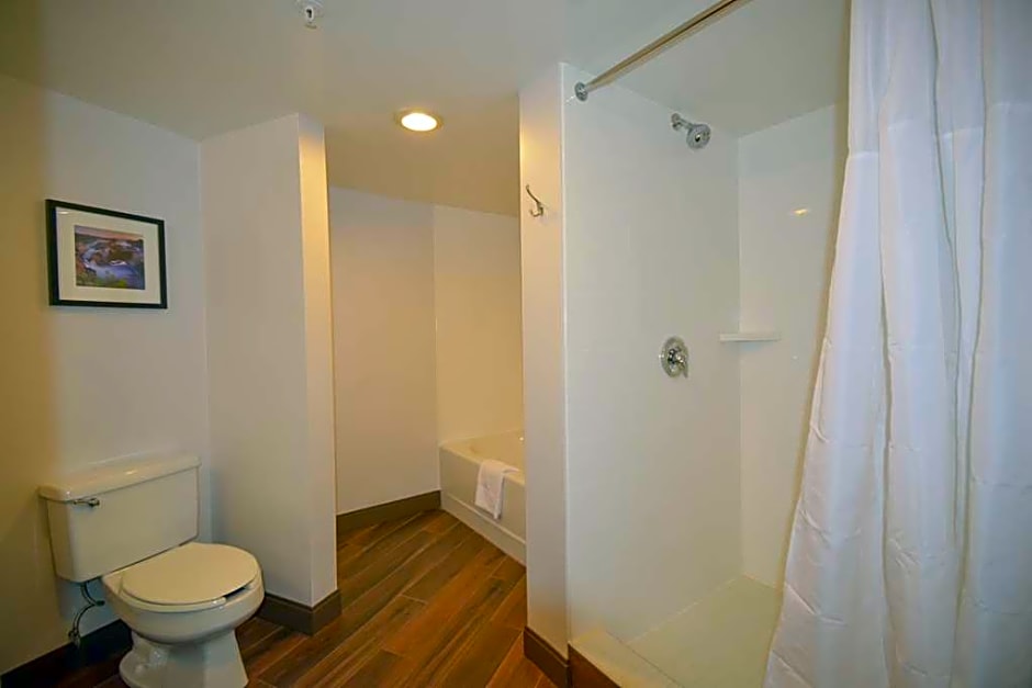 Hampton Inn Salem East-Electric Road