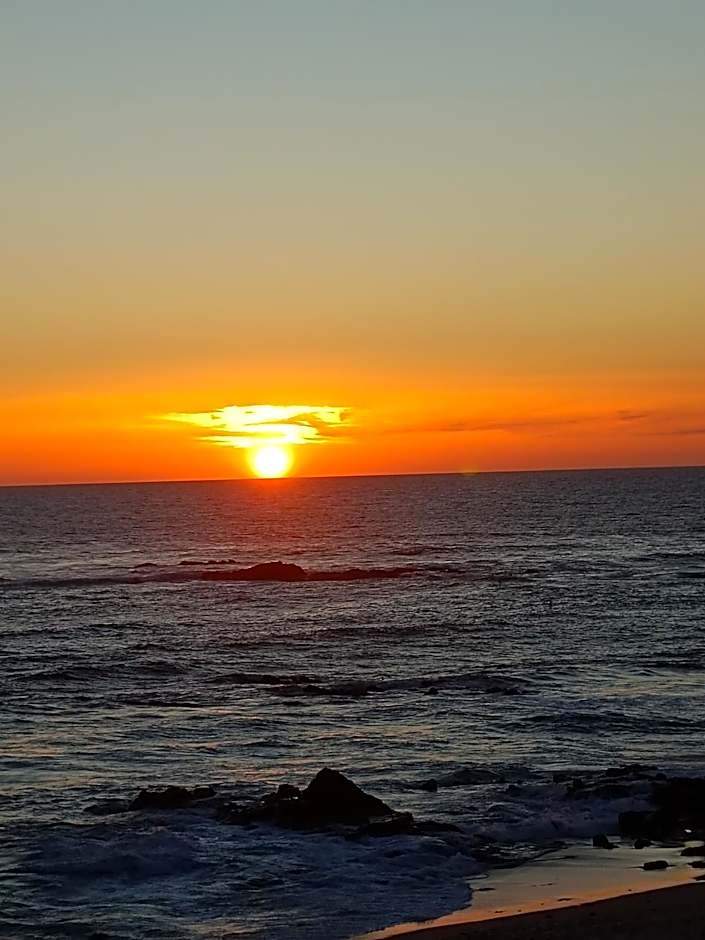 Cachinnans Hostel & apartaments