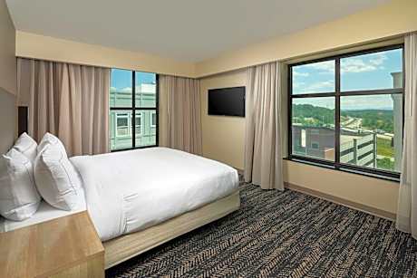 1 King 1 Bedroom Suite With Sofa Bed
