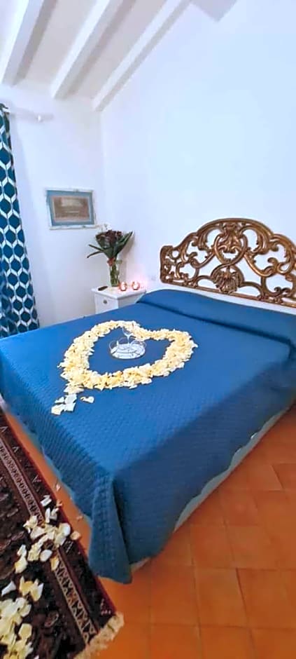 B&B Luna Nuova