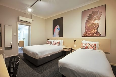 Studio with Queen and Single Bed