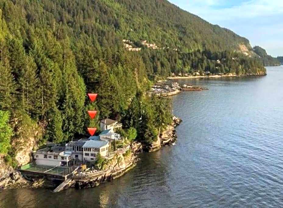 Dream House -Water Lily