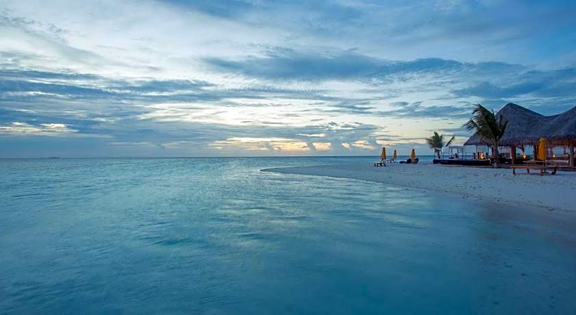 Drift Thelu Veliga Retreat