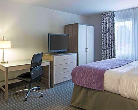 Standard King Non Smoking