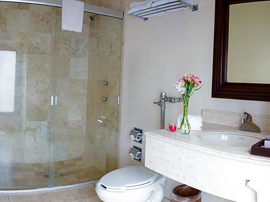 Mision Catedral Morelia