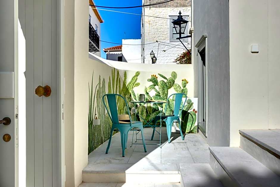 Cactus Hydra - Art Apartments