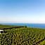 Tenuta di Castellaro Winery & Resort