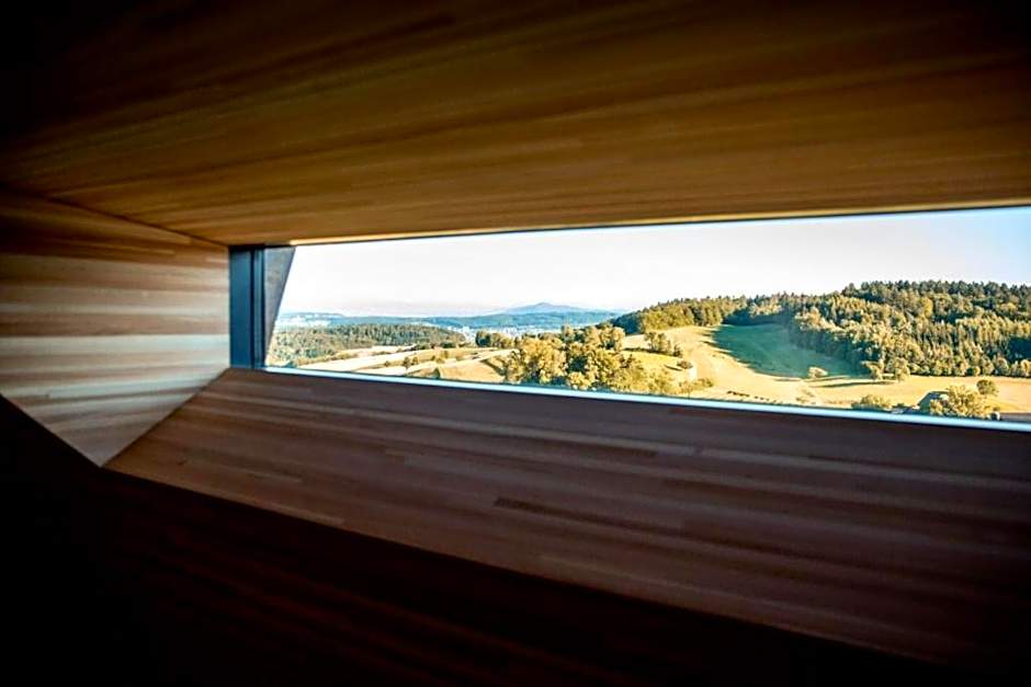 Hotel Krone Regensberg