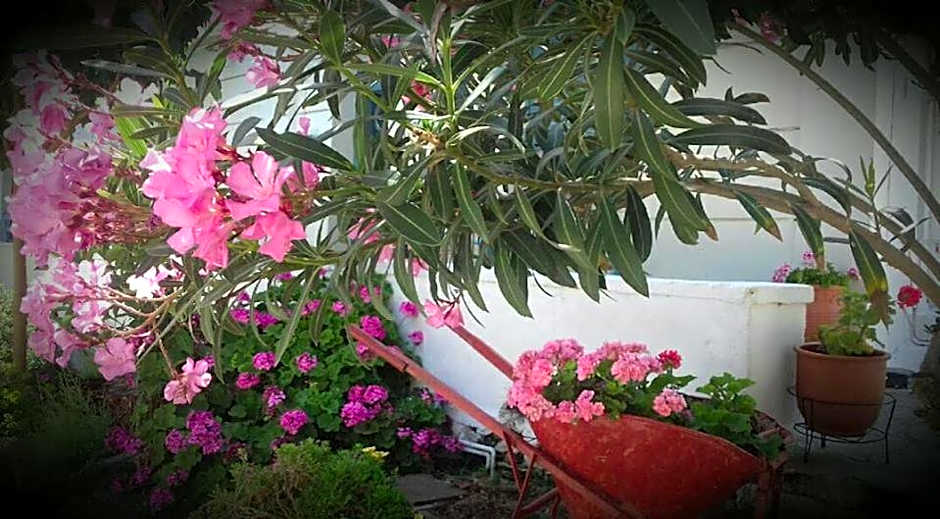 Smaragdi Studios and Rooms