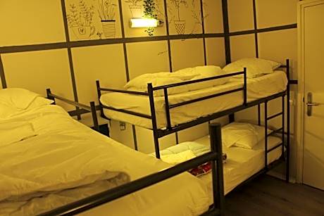 Bunk Bed in 8-Bed Female Dormitory Room