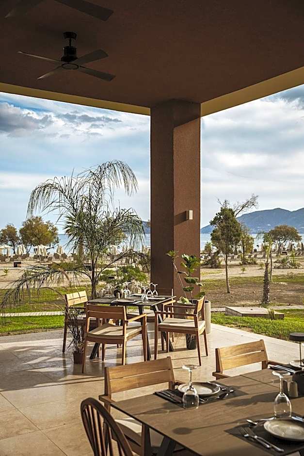 Domes Aulus Zante, Autograph Collection