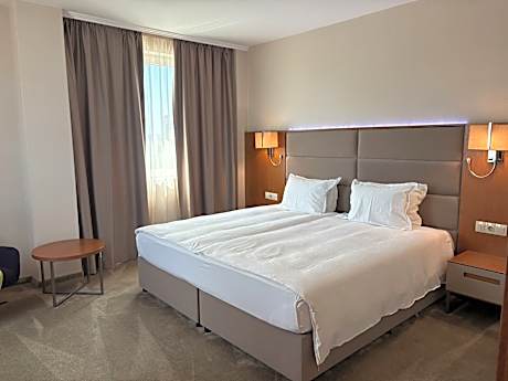 Double Standard Room KING Bed 