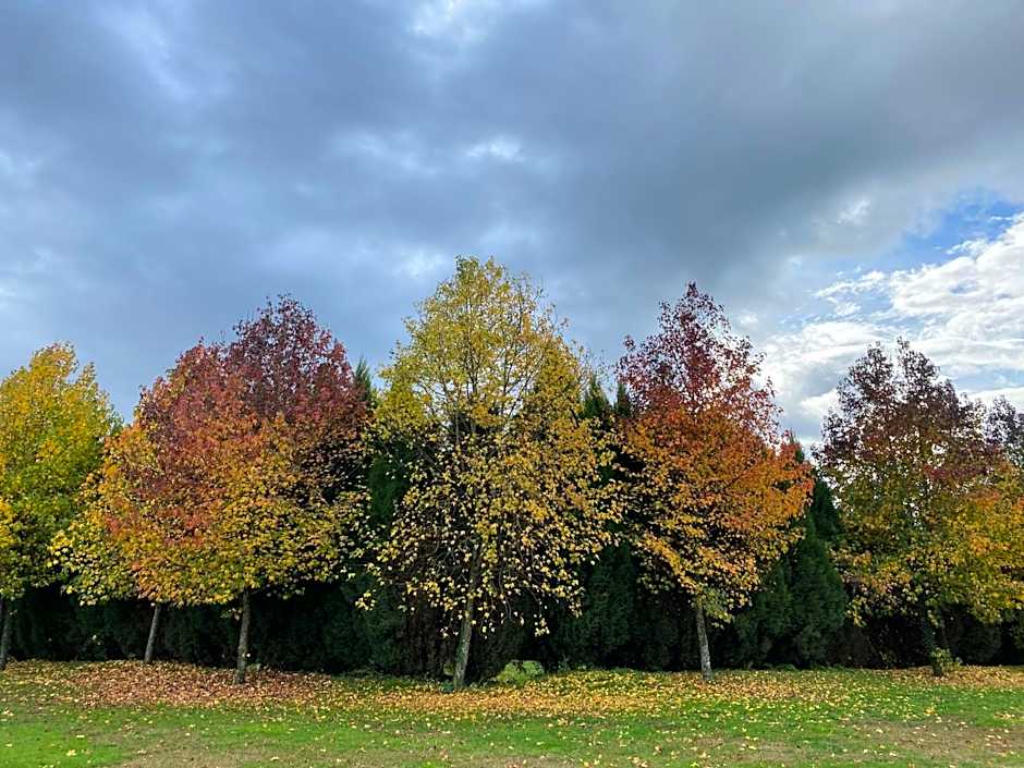 Hotel de Charme Quinta do Pinheiro