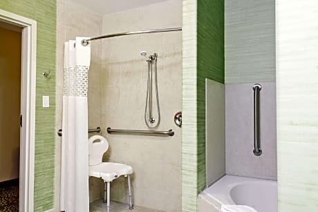 1 King Accessible Roll In Shower Non-Smoking