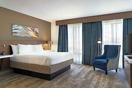 One-Bedroom King Suite