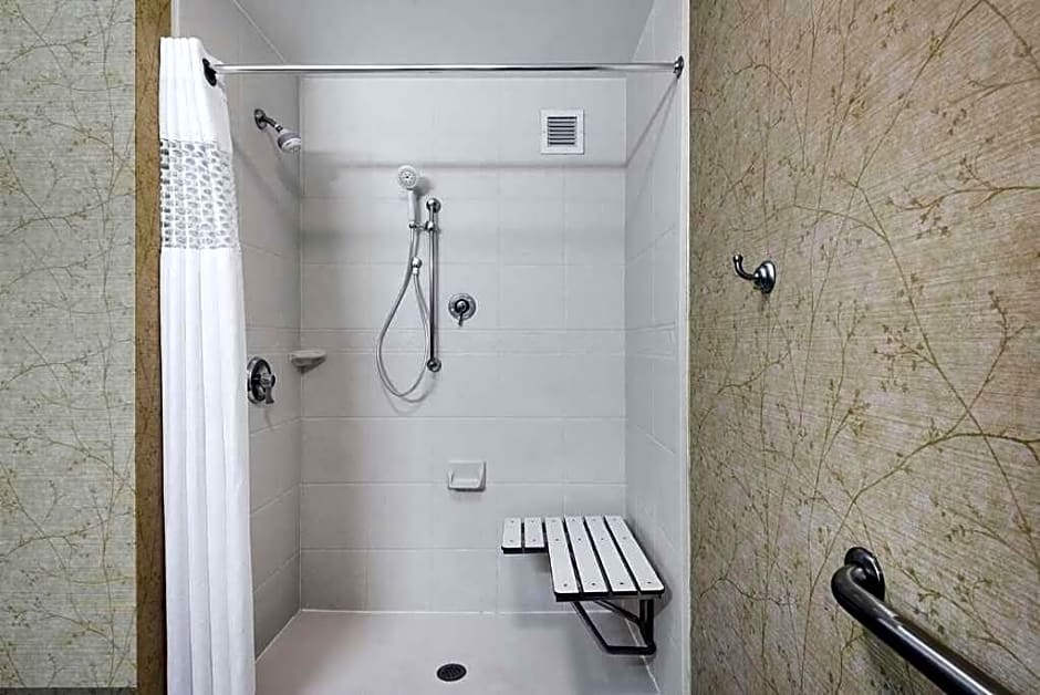 Hampton Inn Roanoke/Hollins - I-81