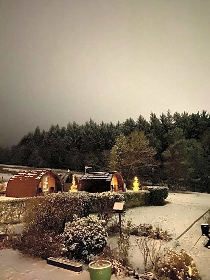 Stoneymollan over Loch Lomond