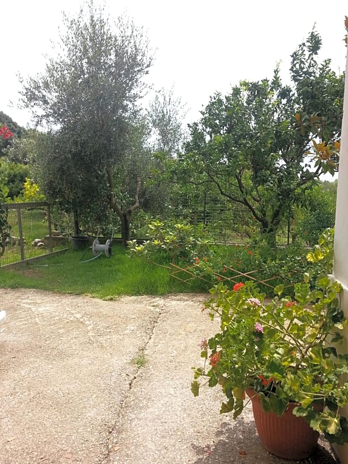 B&B Mazzarella – San Mauro Cilento, UT