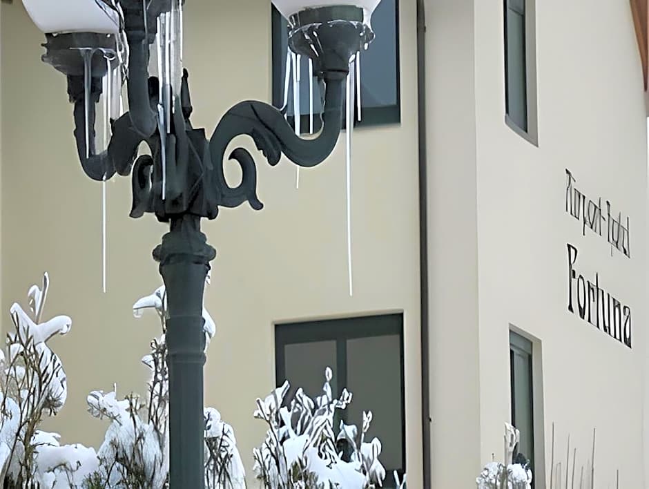 Airport-Hotel Fortuna