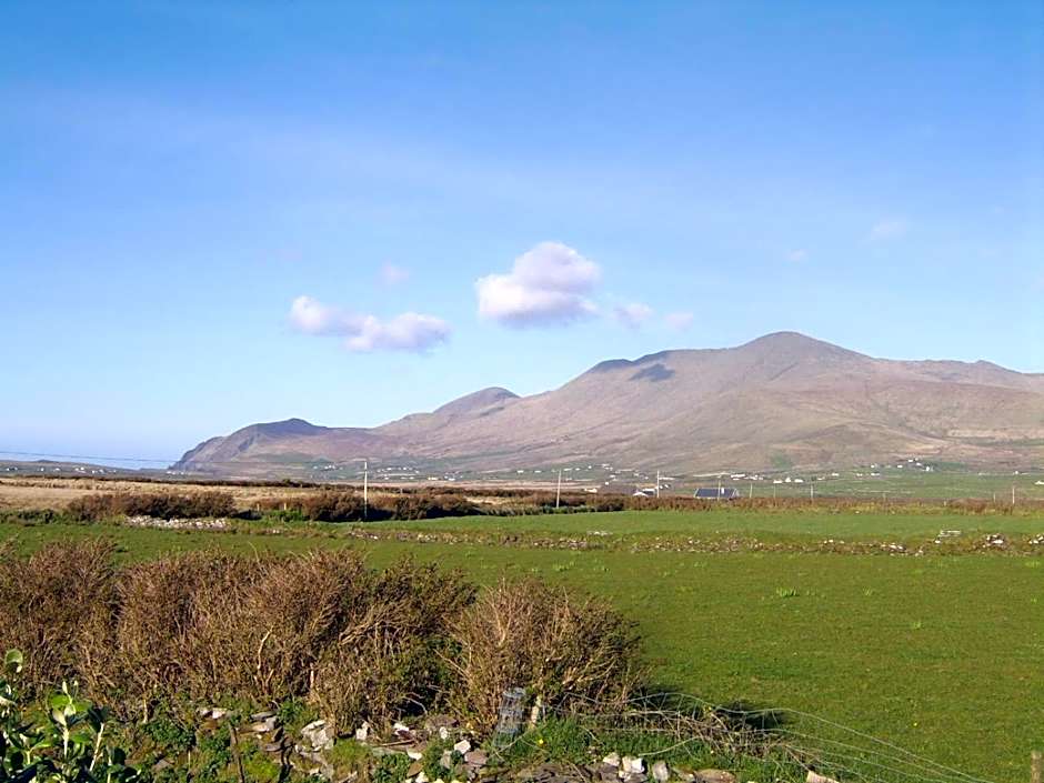 An Dooneen, The Hurley Farm B&B