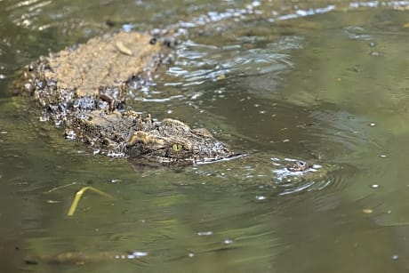 Mesatierra Condotel Davao 