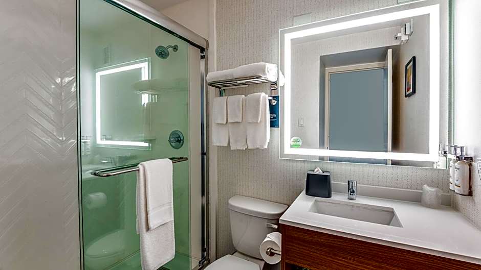 Holiday Inn Dallas Market Ctr Love Field By IHG