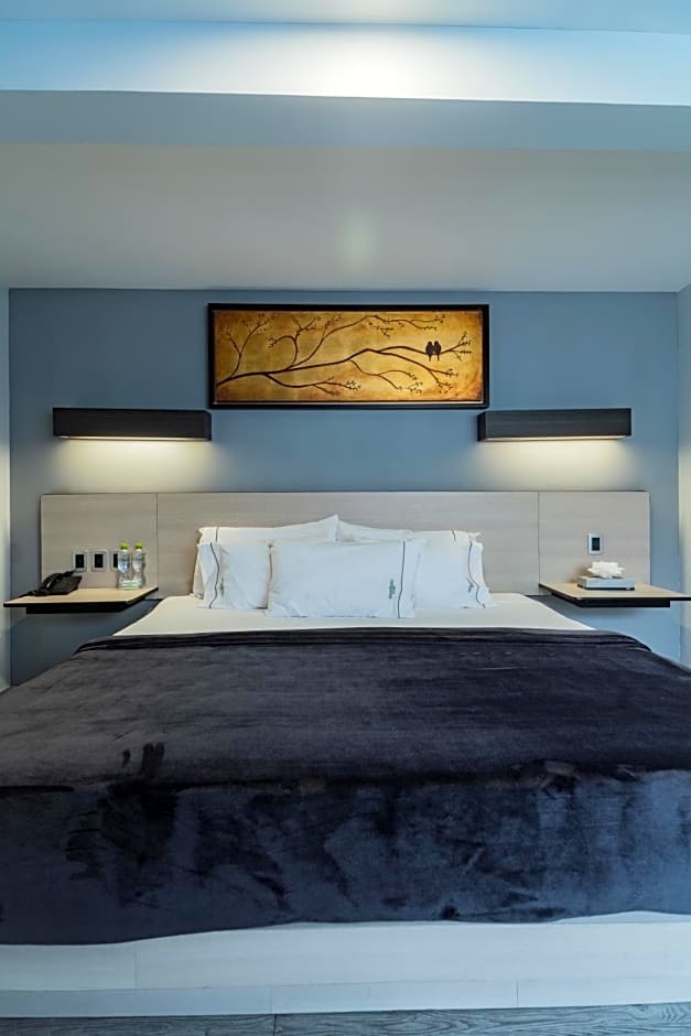 HOTEL LEMON GREEN -Zona Expo Frente al Centro de Convenciones