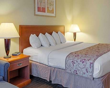 1 King Bed, Nonsmoking