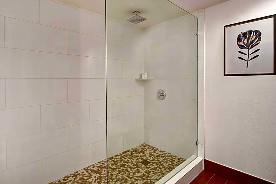 Hilton Garden Inn Houston/Galleria Area