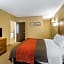 Comfort Inn & Suites Dalton