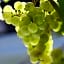 Weinhotel Hubertus Garni