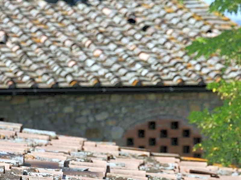 Salvadonica   Borgo  Del Chianti