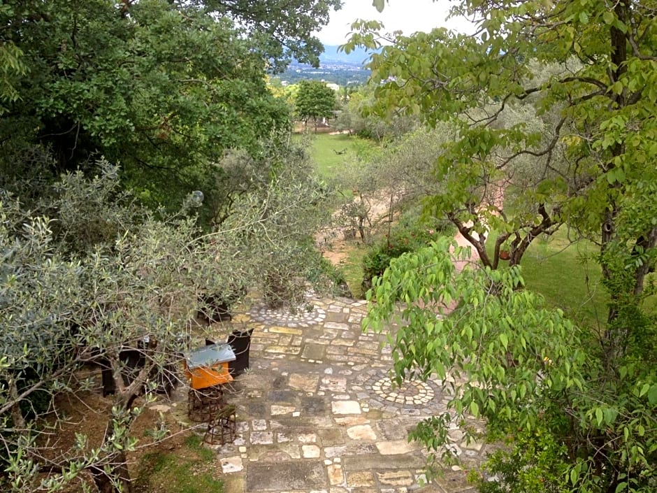 Fattoria La Tana della Volpe